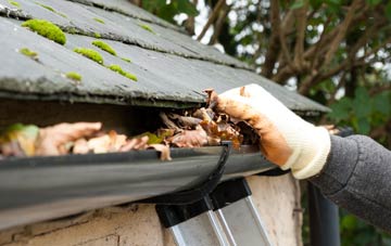 gutter cleaning Lower Wield, Hampshire